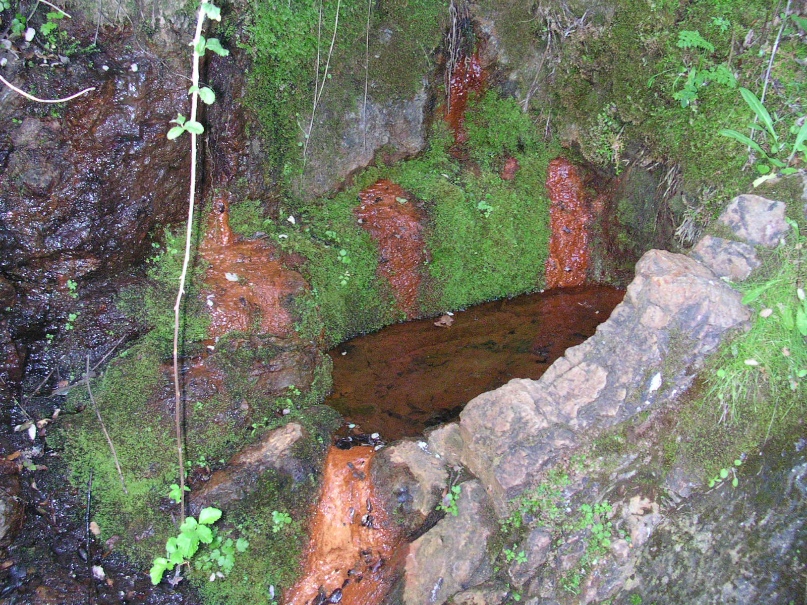 Fuente de La Belleza
