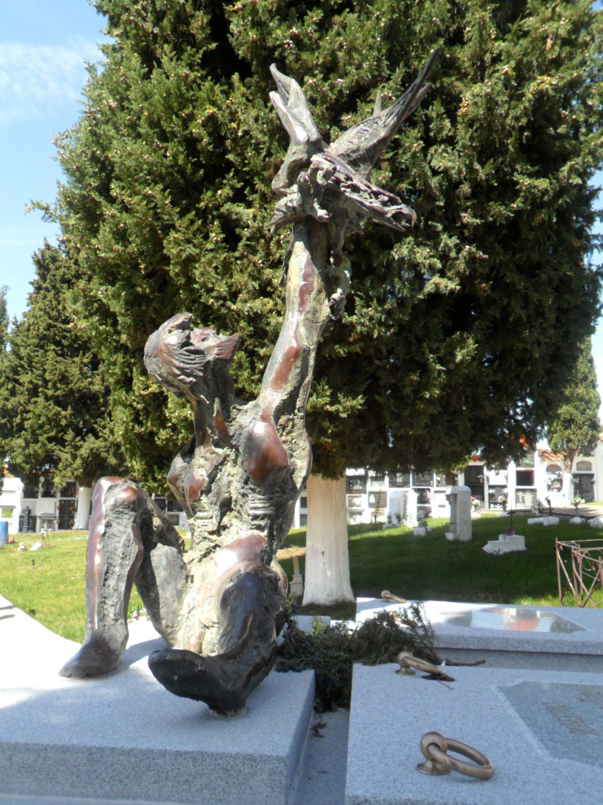 El Rey de la Cetrería