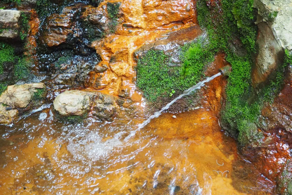 Naturaleza y Surgencia