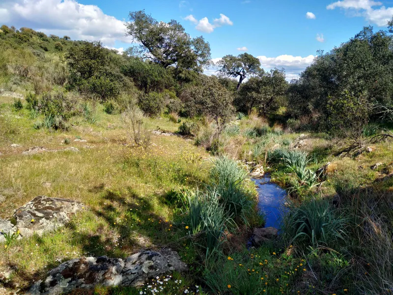 Serranas 6