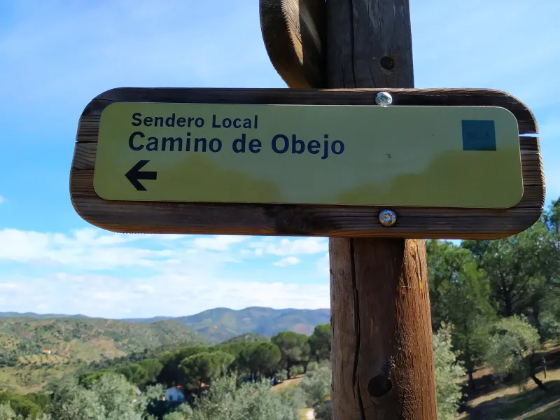 Molinillo 4
