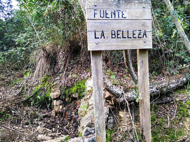 Ruta de las Fuentes Agrias 5