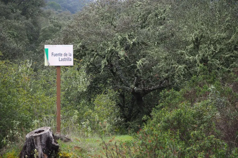 Ruta de las Fuentes Agrias 3