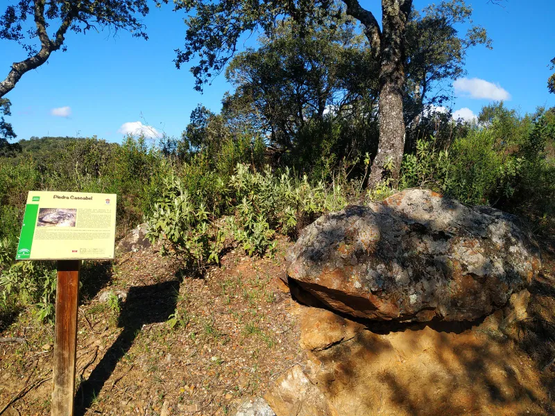 Ruta de las Fuentes Agrias 7