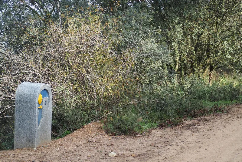 Ruta de las Fuentes Agrias 9