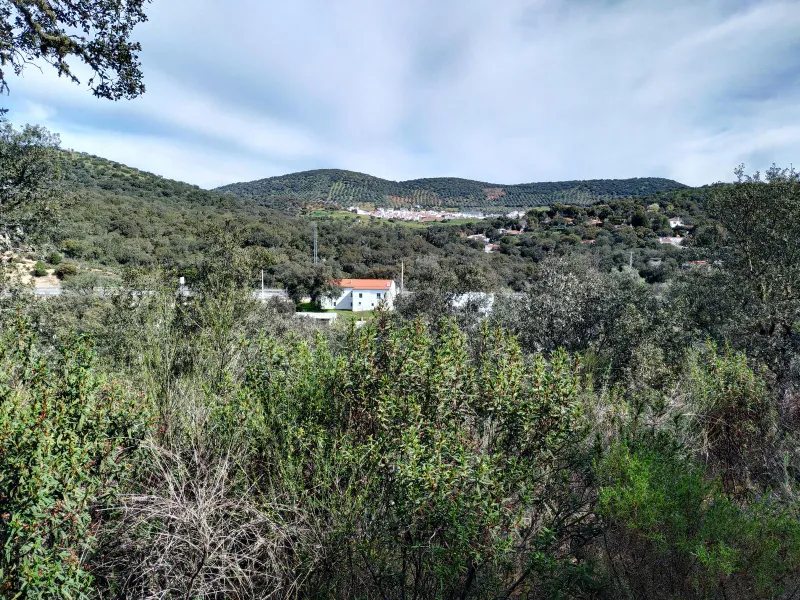 Balneario Santa Elisa 11
