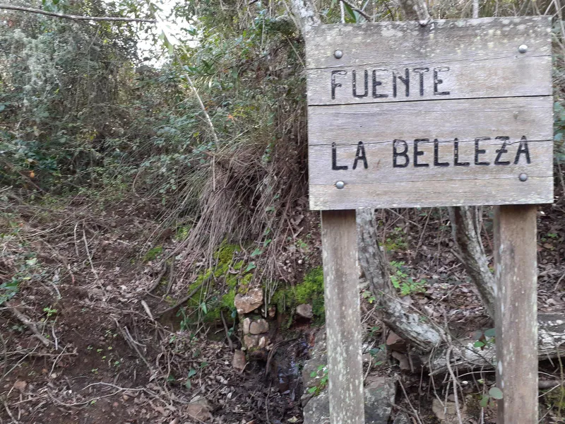 Ruta Completa 7