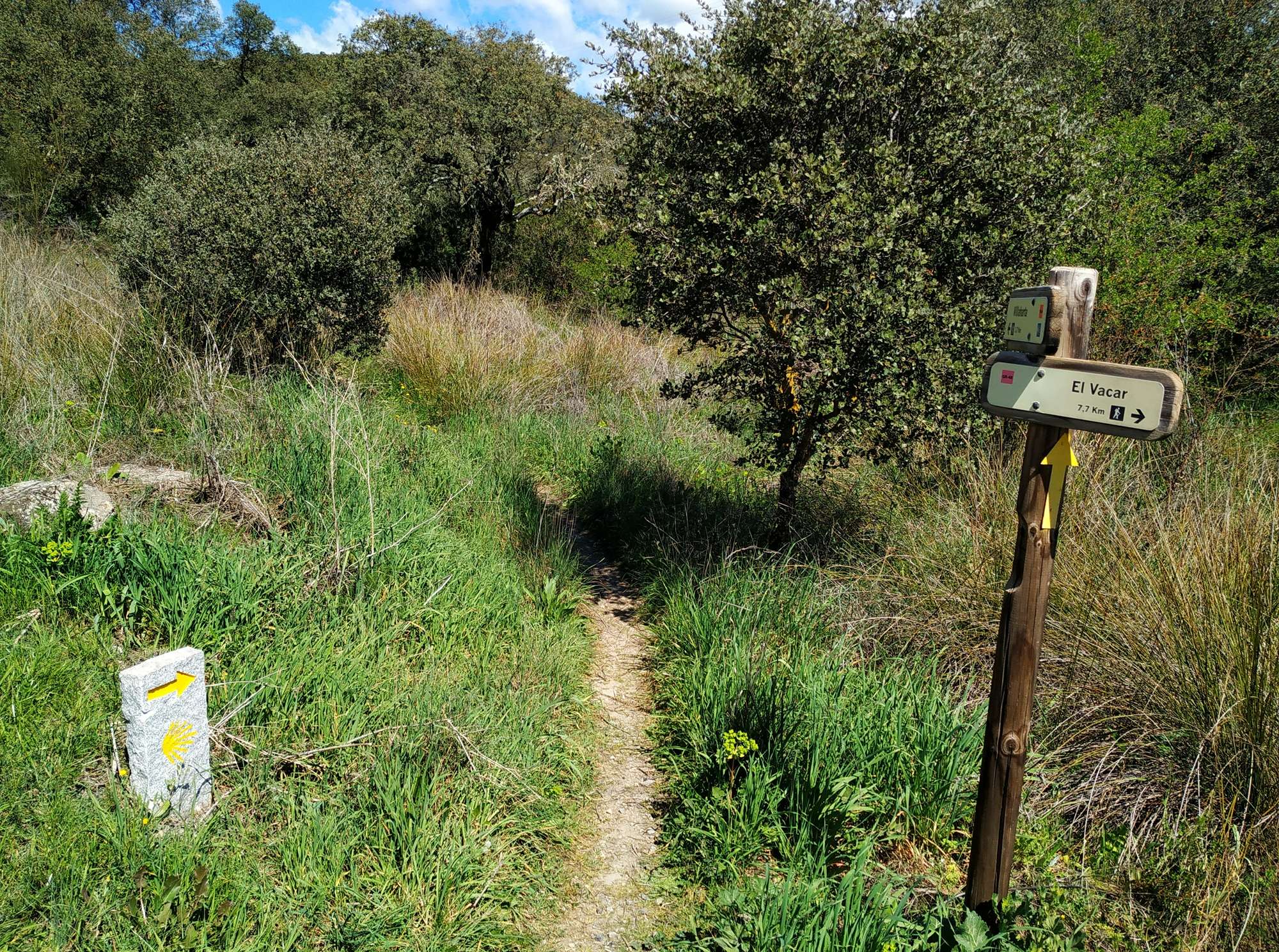 Camino Mozárabe de Santiago