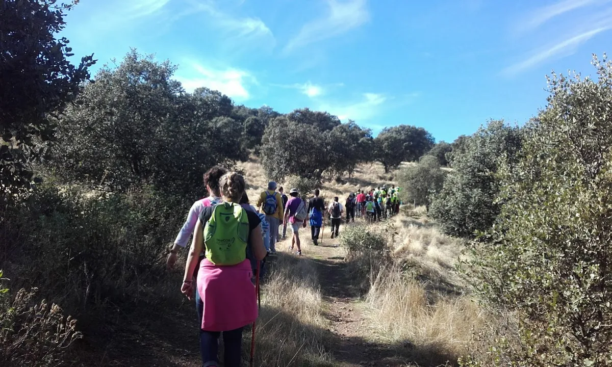Los Caminos de Villaharta